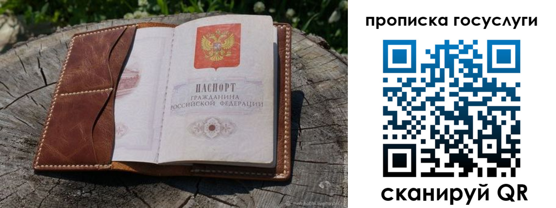 прописка для школы в Советском